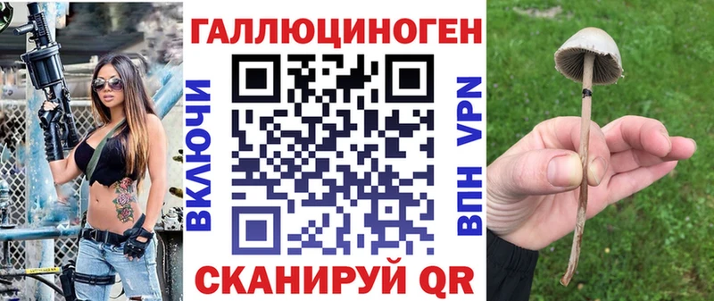 Галлюциногенные грибы MAGIC MUSHROOMS  даркнет сайт  Лесосибирск 